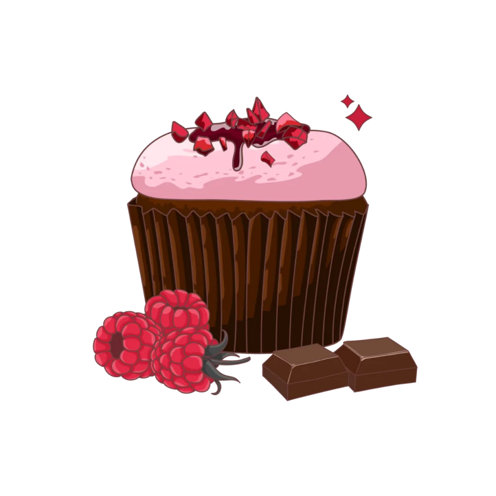 CHOCOLATE RASPBERRY​